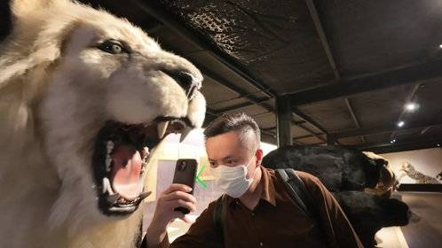 海百合科技如何让古生物在博物馆“复活”